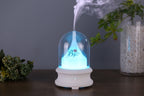 Ultrasonic Diffuser with Warm Ambient Light & Auto Shut-Off Safety Flowing Light Bottle Aromatherapy Humidifier (Common Design)