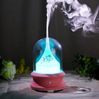 Ultrasonic Diffuser with Warm Ambient Light & Auto Shut-Off Safety Flowing Light Bottle Aromatherapy Humidifier (Common Design)