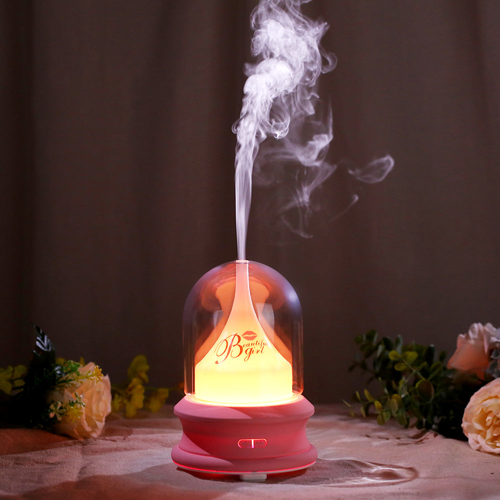 Ultrasonic Diffuser with Warm Ambient Light & Auto Shut-Off Safety Flowing Light Bottle Aromatherapy Humidifier (Common Design)