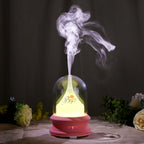 Ultrasonic Diffuser with Warm Ambient Light & Auto Shut-Off Safety Flowing Light Bottle Aromatherapy Humidifier (Common Design)