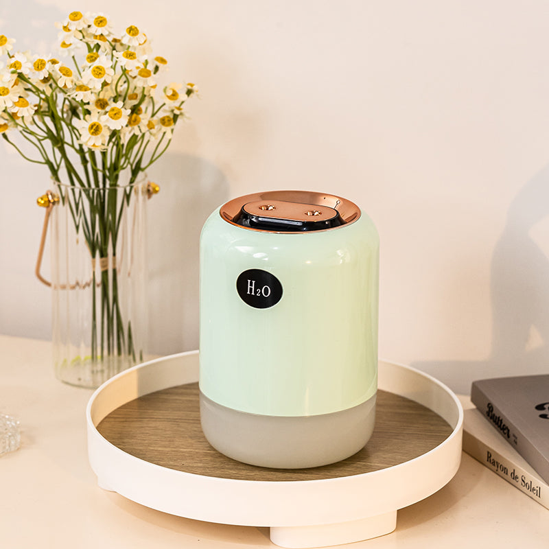 Dual Nozzle Double Spray Humidifier with Digital Display & RGB Ambient Light - USB-Powered Ultrasonic Humidifier for Bedroom & Office