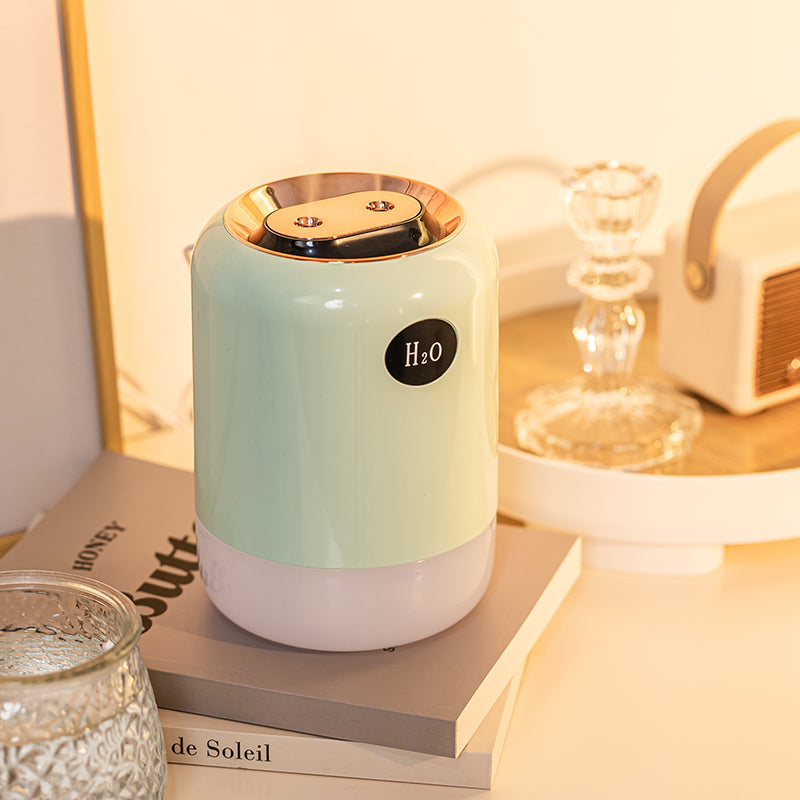 Dual Nozzle Double Spray Humidifier with Digital Display & RGB Ambient Light - USB-Powered Ultrasonic Humidifier for Bedroom & Office